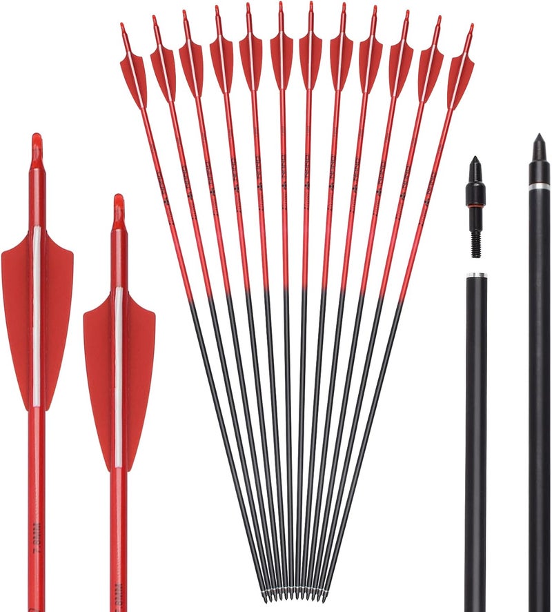 TY Archery Carbon Arrow Archery 26 28 30inch Hunting Target Practice Arrows for Compound & Recurve Bow Spine 500 with Removable Tips (Pack of 12) - Image 1